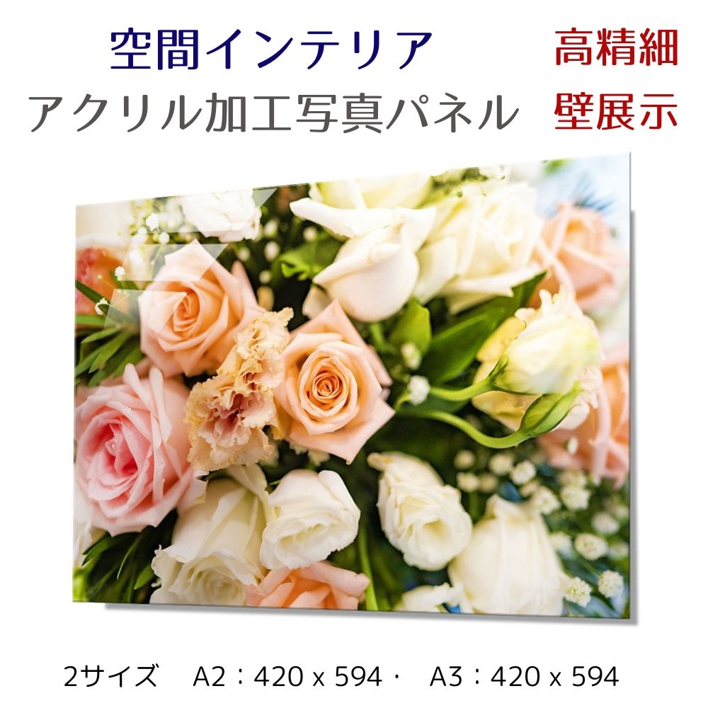 写真パネル 壁インテリア ウォールアート/ バラの花束/花 白系ブーケ 絵画  ポスター 額入り インテリア 壁 おしゃれ 壁掛け リビング 寝室 ホテル タワマン ホール 施設 新築祝い 開業祝い 開店祝い プレゼントフレーム付き 玄関 部屋に飾る 植物 花  ギフト アートパネル