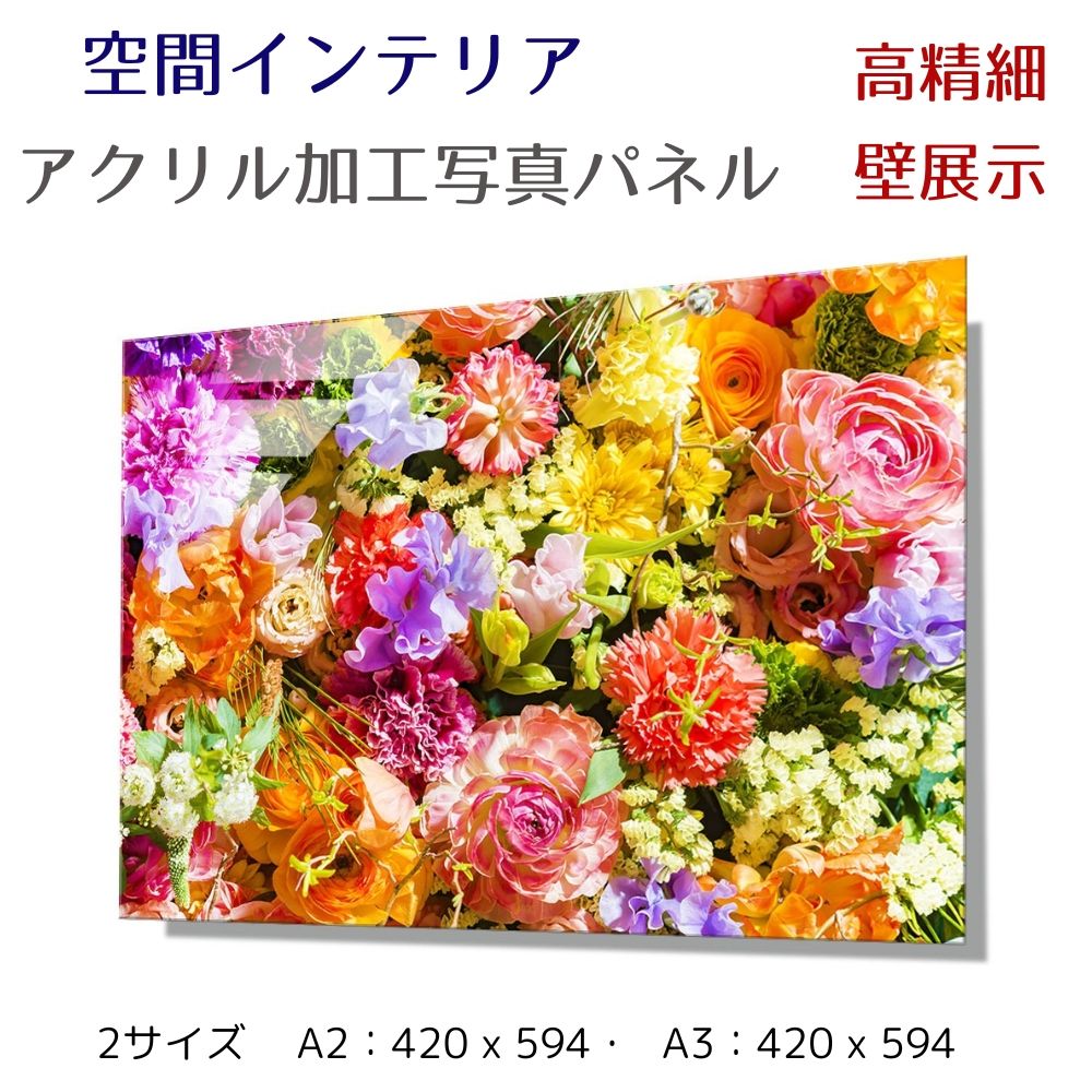 写真パネル 壁インテリア ウォールアート/ フラワーアレンジメント/花  絵画  ポスター 額入り インテリア 壁 おしゃれ 壁掛け リビング 寝室 ホテル タワマン ホール 施設 新築祝い 開業祝い 開店祝い プレゼントフレーム付き 玄関 部屋に飾る 植物 花  ギフト アートパネル