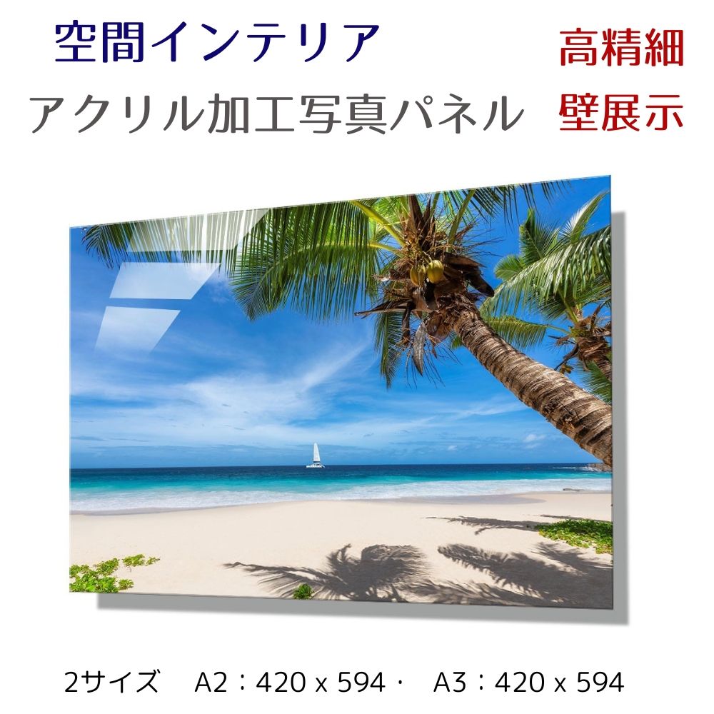 写真パネル 壁インテリア ウォールアート/ ヤシの木と砂浜/ 海 ヤシの木 椰子 絵画  ポスター 額入り インテリア 壁 おしゃれ 壁掛け リビング 寝室 ホテル タワマン ホール 施設 新築祝い 開業祝い 開店祝い プレゼント玄関 部屋に飾る 植物 花  ギフト アートパネル