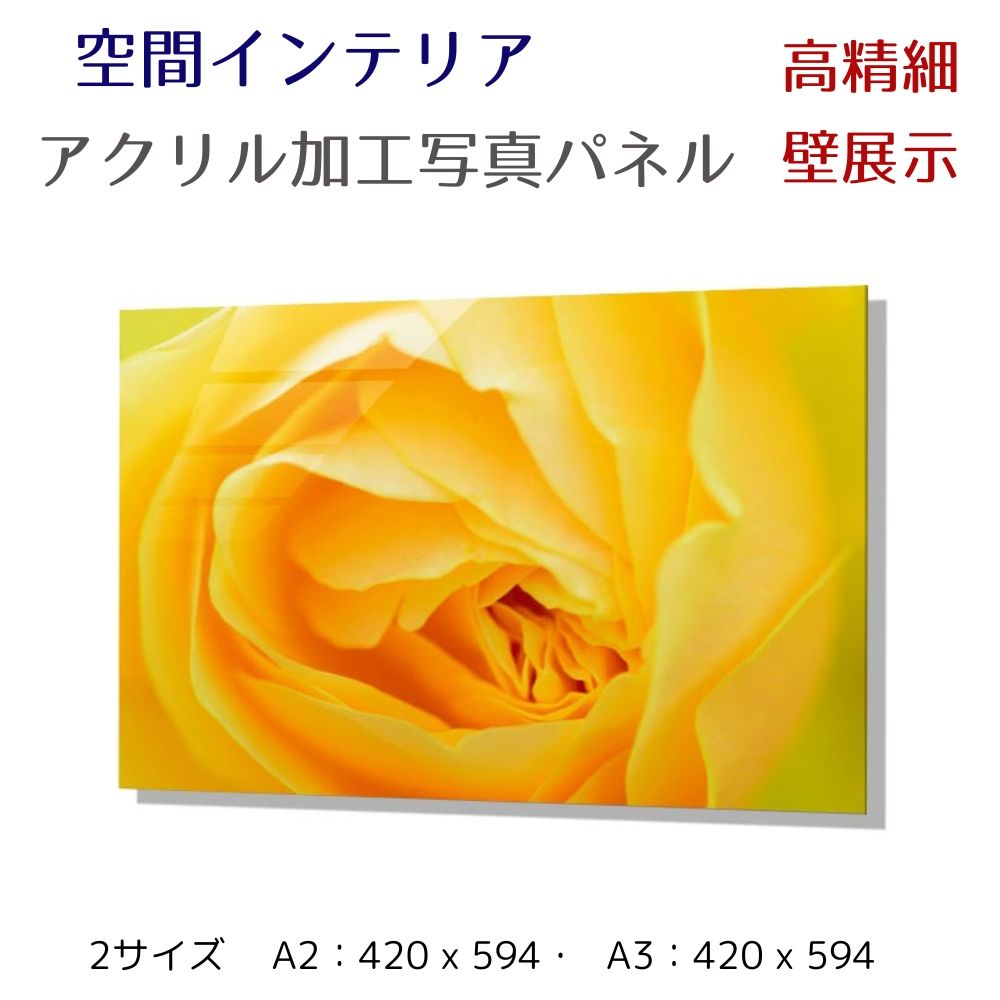 写真パネル 壁インテリア ウォールアート/ ヤシの木と砂浜/ 海 ヤシの木 椰子 絵画  ポスター 額入り インテリア 壁 おしゃれ 壁掛け リビング 寝室 ホテル タワマン ホール 施設 新築祝い 開業祝い 開店祝い プレゼント玄関 部屋に飾る 植物 花  ギフト アートパネル
