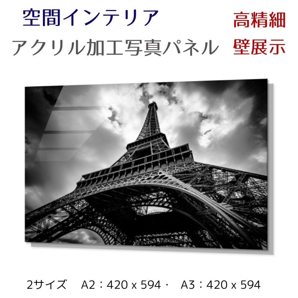 写真パネル 壁インテリア ウォールアート/ パリ エッフェル塔/Sky over the Eiffel Tower/モノトーン　白黒 絵画  ポスター 額入り インテリア 壁 おしゃれ 壁掛け リビング 寝室 ホテル タワマン ホール 施設 新築祝い 開業祝い 開店祝い プレゼント玄関 植物 花  ギフト