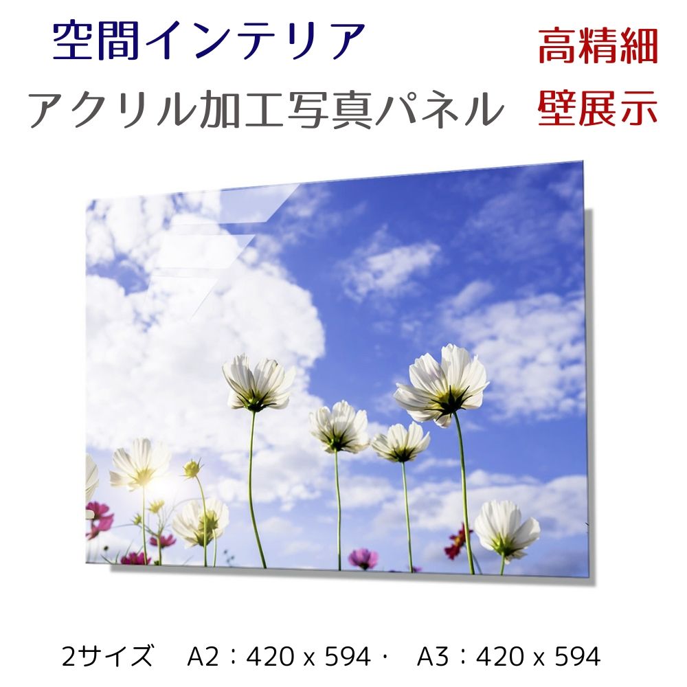 写真パネル 壁インテリア ウォールアート/ コスモスの花と空/Cosmos flowers and sky/  絵画  ポスター 額入り インテリア 壁 おしゃれ 壁掛け リビング 寝室 ホテル タワマン ホール 施設 新築祝い 開業祝い 開店祝い プレゼント玄関 部屋に飾る 植物 花  ギフト