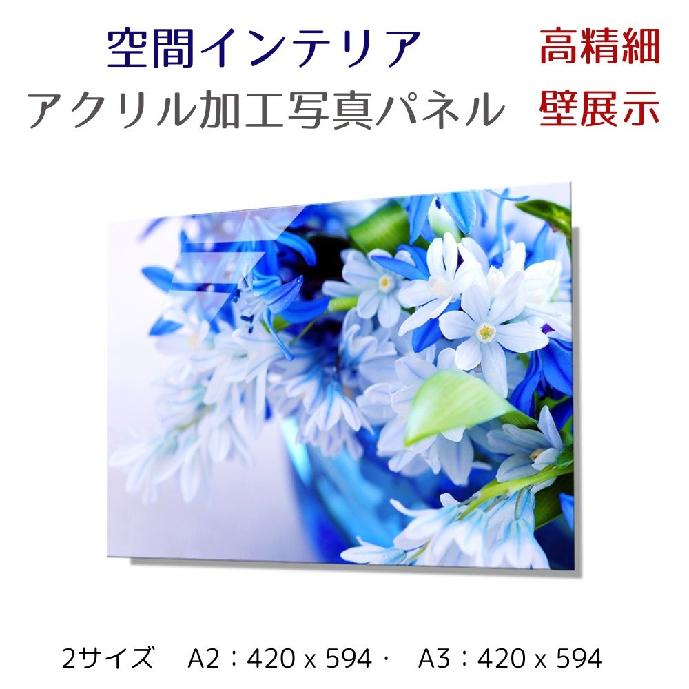 写真パネル 壁インテリア ウォールアート/ 青いアイリスの花束/Bouquet of blue irises/ 絵画  ポスター 額入り インテリア 壁 おしゃれ 壁掛け リビング 寝室 ホテル タワマン ホール 施設 新築祝い 開業祝い 開店祝い プレゼント玄関 部屋に飾る 植物 花  ギフト