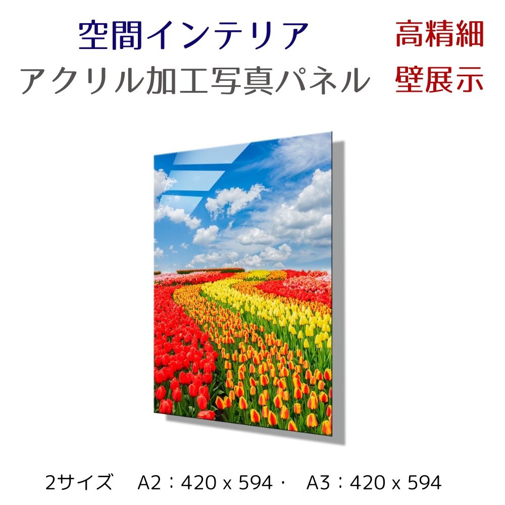 写真パネル 壁インテリア ウォールアート/ 青空とチューリップ畑/ 絵画  ポスター 額入り インテリア 壁 おしゃれ 壁掛け リビング 寝室 ホテル タワマン ホール 施設 新築祝い 開業祝い 開店祝い プレゼント玄関 部屋に飾る 植物 花  ギフト