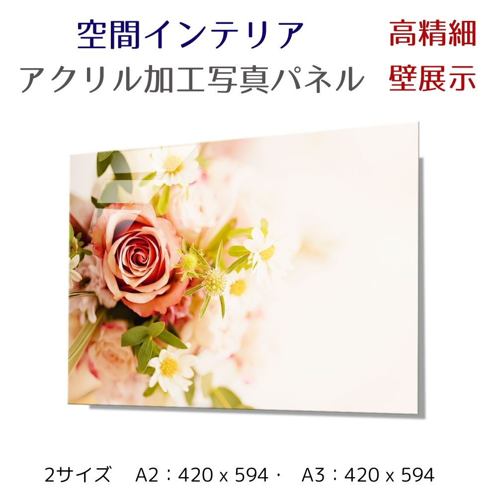 写真パネル 壁インテリア ウォールアート/ ピンクのバラ/Pink flower rose/ 絵画  ポスター 額入り インテリア 壁 おしゃれ 壁掛け リビング 寝室 ホテル タワマン ホール 施設 新築祝い 開業祝い 開店祝い プレゼント玄関 部屋に飾る 植物 花  ギフト