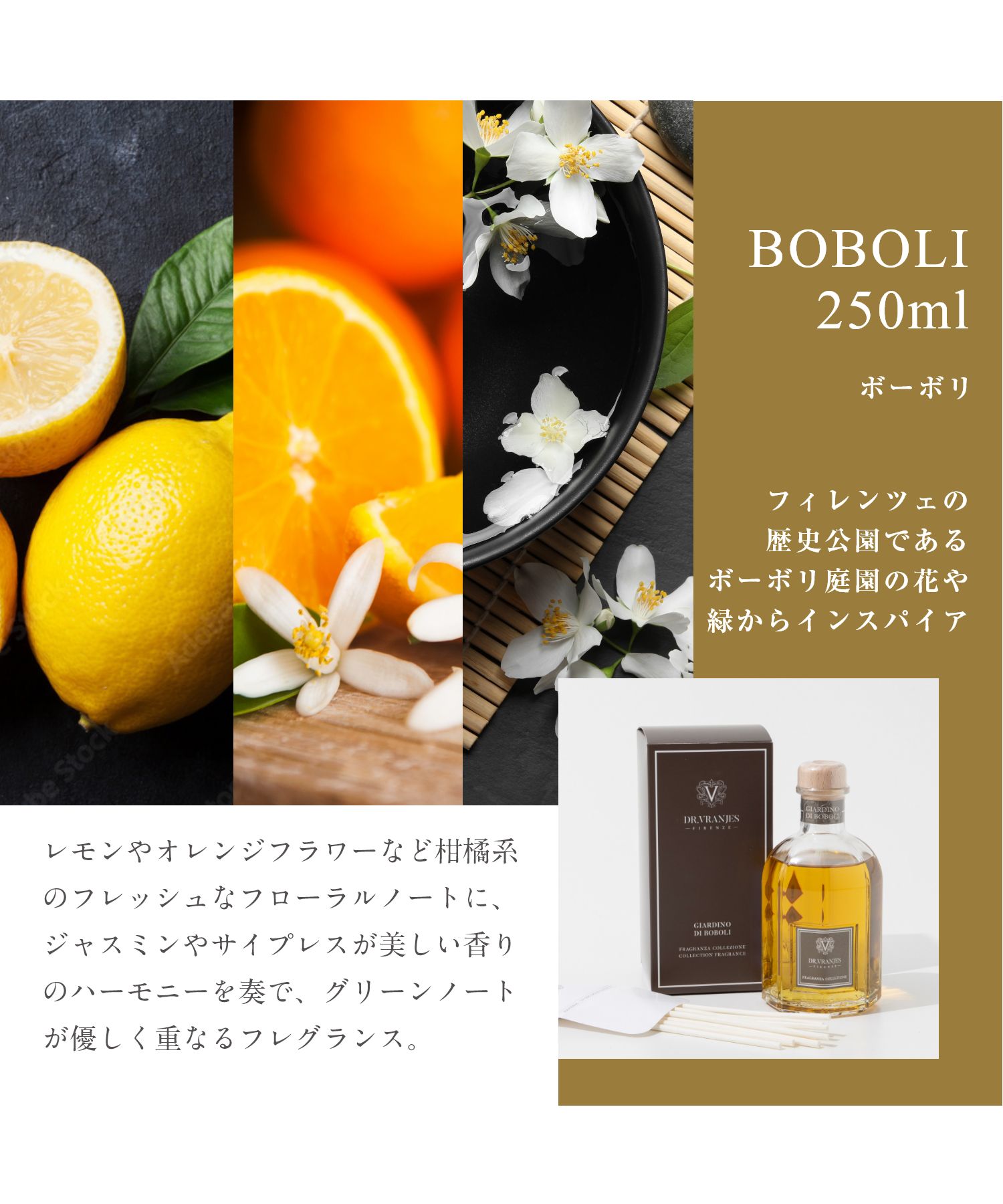 ドットール・ヴラニエス Dr. Vranjes ロッソノービレ ウードノービレ 