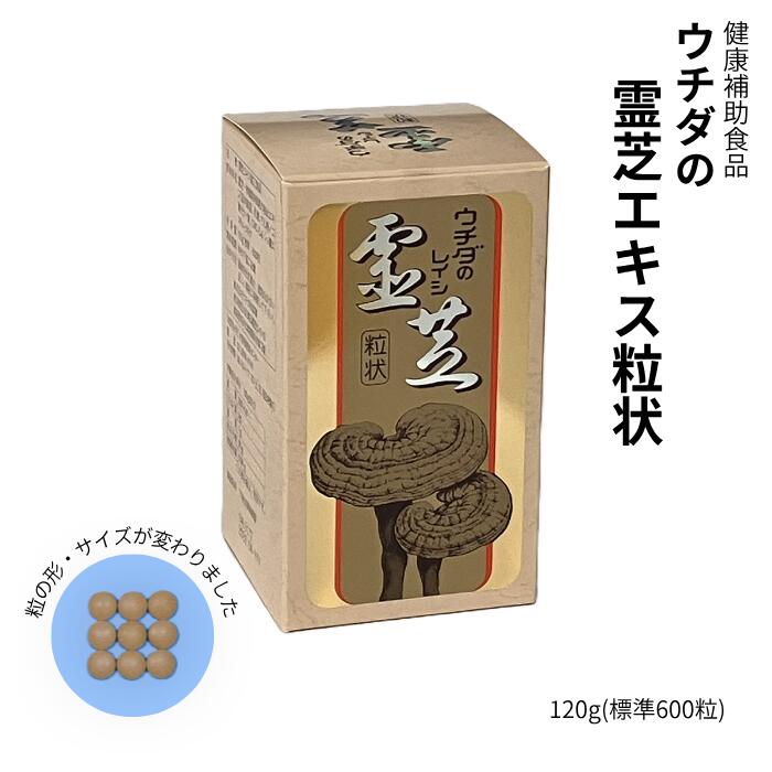 丸剤ってどんなその儀？