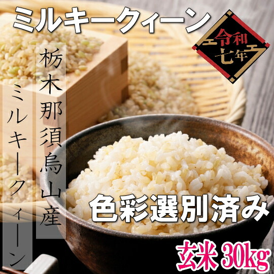 令和7年産　栃木県那須烏山産ミルキークィーン未検査玄米【玄米30kg色彩選別済み】※別途送料掛かります