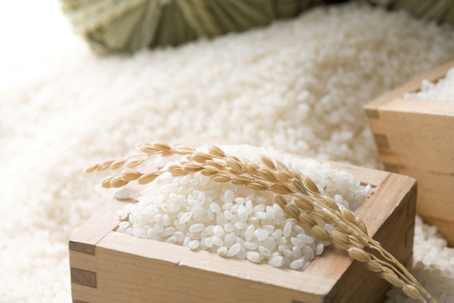 本州限定・送料無料!!令和5年産古米!!お徳用白米・埼玉県産コシヒカリ10kg【5kg×2】※一部地域は別途送料掛かります※古米です