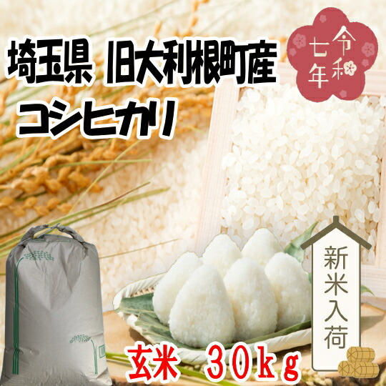 楽天市場】令和7年産新米 埼玉県加須（旧北川辺町）産コシヒカリ