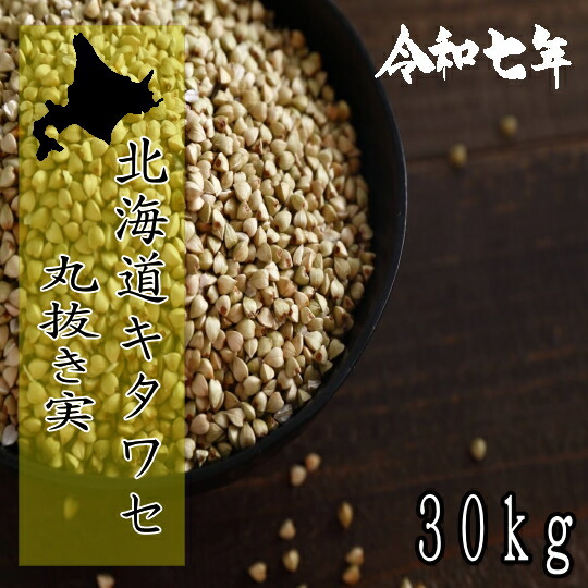 令和7年産!!北海道産キタワセそば・丸抜き実【30kg】5kg×6※送料無料ではありません