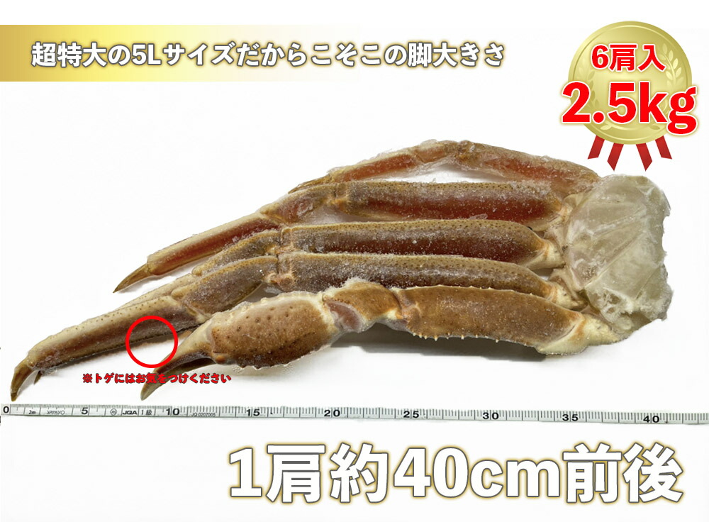 爆売りセール開催中！】 ”特大生ずわいがに2.5kg 6肩入り ” ズワイガニ ずわいがに かに カニ カニ足 カニ脚 カニ鍋 5l 2.5kg  ギフト 市場 母の日 父の日 fucoa.cl