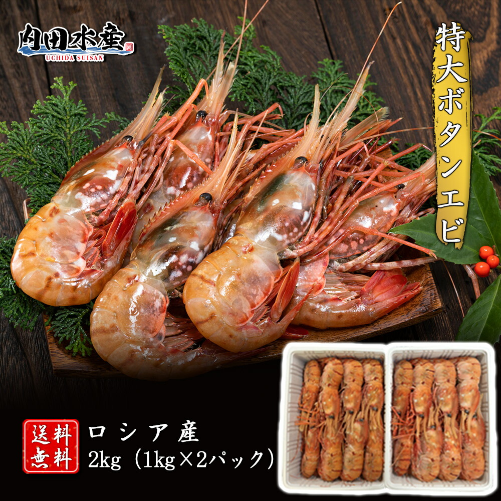 毎日続々入荷 ”特大ボタンエビ2kg” ボタンエビ ぼたんえび えび エビ 海老 刺身 寿司 海鮮丼 2kg 特大 2l 食品 飲食店 市場 ギフト  母の日 父の日 fucoa.cl