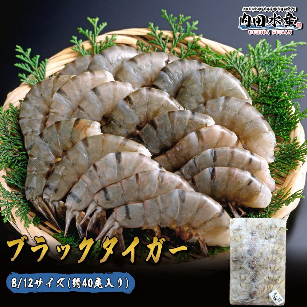 エビ ブラックタイガー えび 1,8kg 業務用 8/12 約40尾入り BT 無頭えび 無頭エビ BBQ 炉端焼き 敬老の日 お歳暮 年末予約 ”無頭ブラックタイガー(加熱用)8/12”