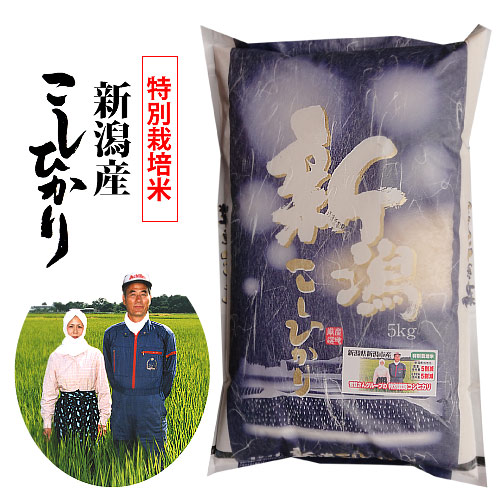【楽天市場】【新米】新潟産 コシヒカリ 特別栽培米 令和5年産 精米10kg(5kgx2)曽我さんの こしひかり農薬・化学肥料5割削減：内野米穀