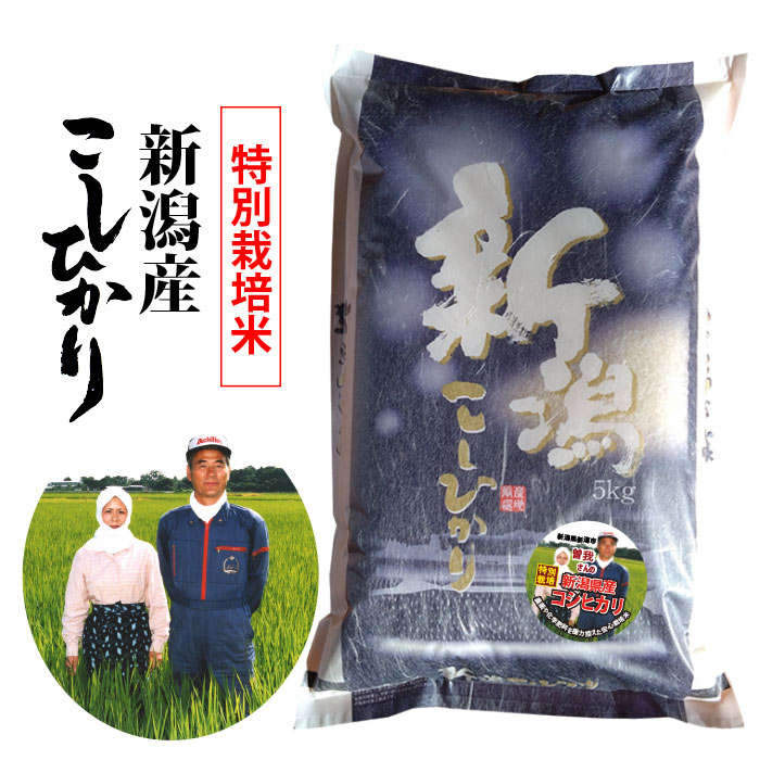 楽天市場】【新米】【玄米】埼玉産 コシヒカリ玄米25kg令和7年産
