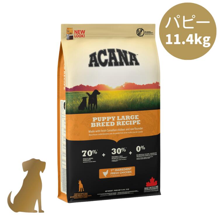 【取りつくろう】アカナ ドッグフード パピーラージブリードレシピ 11.4kg 大型犬 犬ころ 犬用 決まり売りわたす店 貨物輸送無料 ACANA ドッグフード-ドッグフード・サプリメント