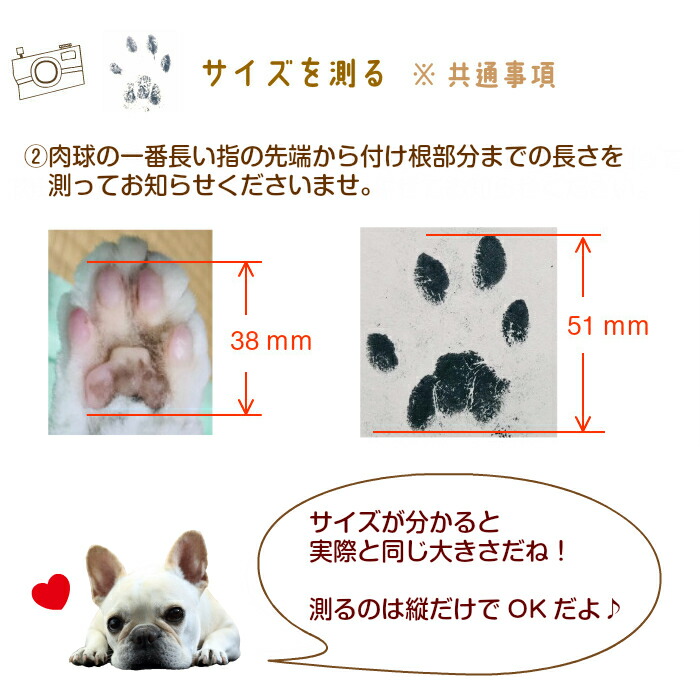 市場 思い出の架け橋 ペット 命日 フォトフレーム 写真立て 肉球 ペット かわいい お悔み メモリアル メモリアルグッズ ペット供養 お供え