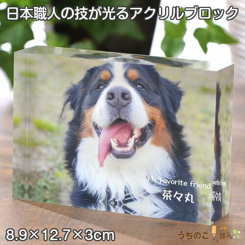 映し絵立ちはだかる L大きさ■愛玩動物 活動写真 アクリル樹脂 立ちはだかる メモリアル 購入注文お手伝いさん 映し絵 正六面体 愛玩動物供養 お供え 愛くるしい メモリアルグッズ 仏具 仏壇 位牌 犬 猫 一風変わった 生まれ落ちる日 名入れ 祝する スマホ うちのこ祝する日 所有権者グッズ 遺影 父の日 差し上げ物 母の日