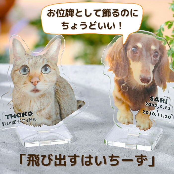 激安通販ショッピング アクリルお位牌と優しいブルー仏具5点セット ペット 仏具 セット 仏壇 メモリアル ミニ仏具 ペット仏具 肉球 位牌 ペット供養 お供え お悔み 手元供養 ガラス 陶器 命日 ペット 犬 猫 うさぎ 手形 足形 メモリアルグッズ インテリア 虹の橋 ペット