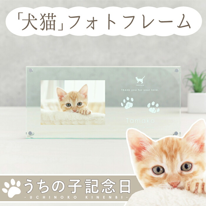 ＼15％OFF・SALEクーポン券／ うちの子不死化日・写真絵枠組み 広広とした／犬 生まれ落ちる日 グッズ 飾り付け 西洋菓子 愛玩動物 猫 差し上げ物 活動写真入り口・入口 肉球 型取り 愛玩動物 写真絵枠組み メモリアル お皿 愛玩動物天使の都市 グッズ 活動写真 忘れ形見  愛玩動物 足形 不死化 足型 パッド 汚れない