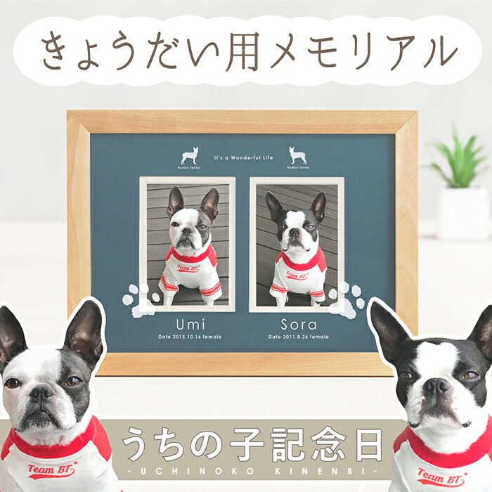 \20%OFF・SALEクーポン/うちの子記念日・ギャラリーフレーム きょうだいタイプ/ペット 犬 猫 オーダー メモリアルグッズ ペア ルック お揃い 誕生日 バースデー飾り 写真入り グッズ 写真立て 足型 肉球 名入れ 兄弟 姉妹 プレゼント ご長寿 記念 お祝い 写真立て