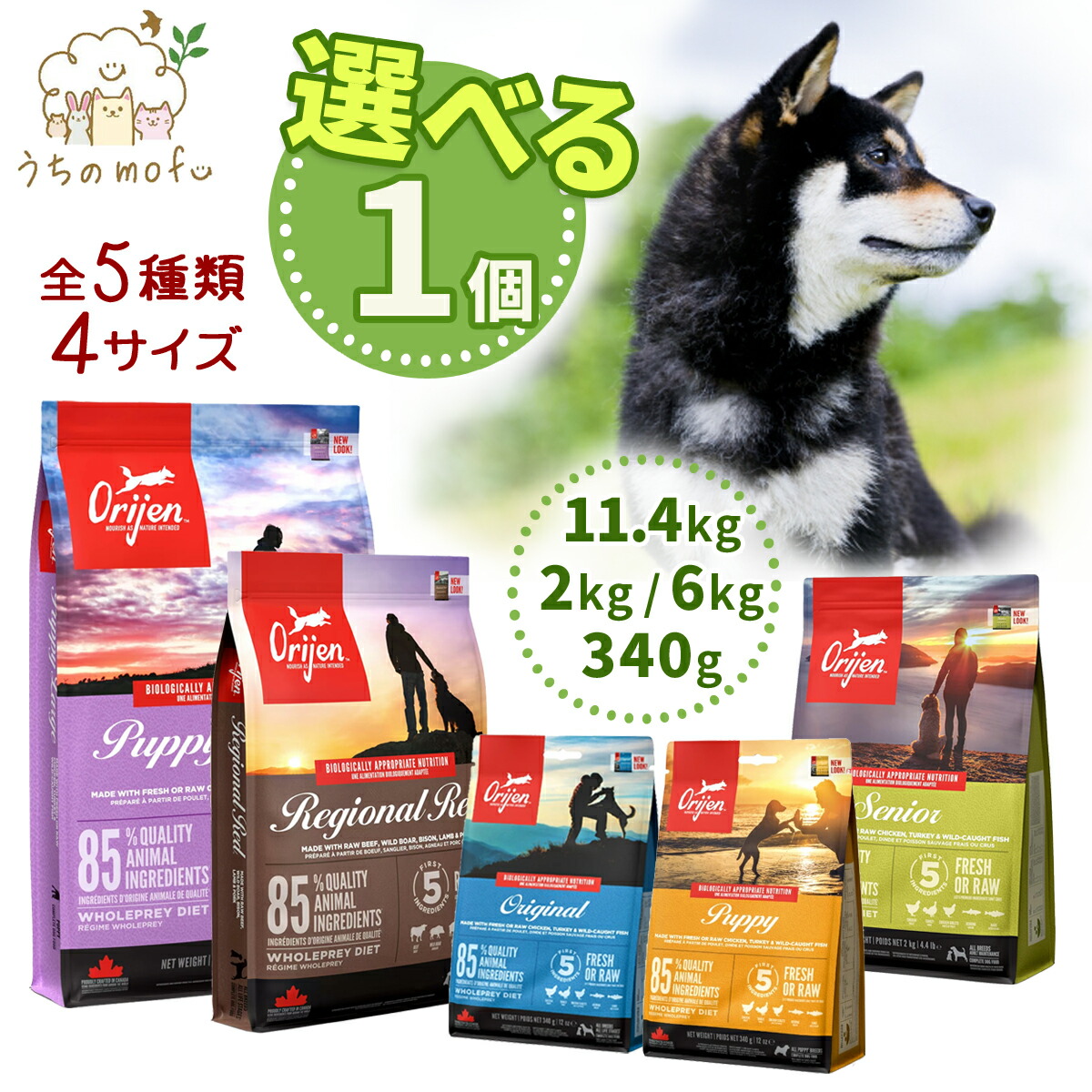 開びゃく ドッグフード 定まり品 事あたらしい レジオナルレッド 年がしら パピー パピーラージ 340g 2kg 6kg 11.4kg origin 犬ころ 成犬 年がしら犬 老いらく犬 犬 愛玩動物ボンネット 犬装置 飼い犬 愛玩動物