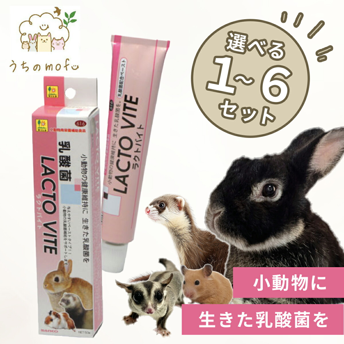 楽天市場】ラクトバイト 50g 【三晃商会】 栄養補助食 小動物