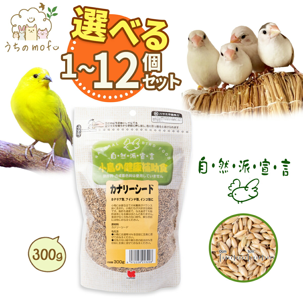 imgrc0090408995.jpg