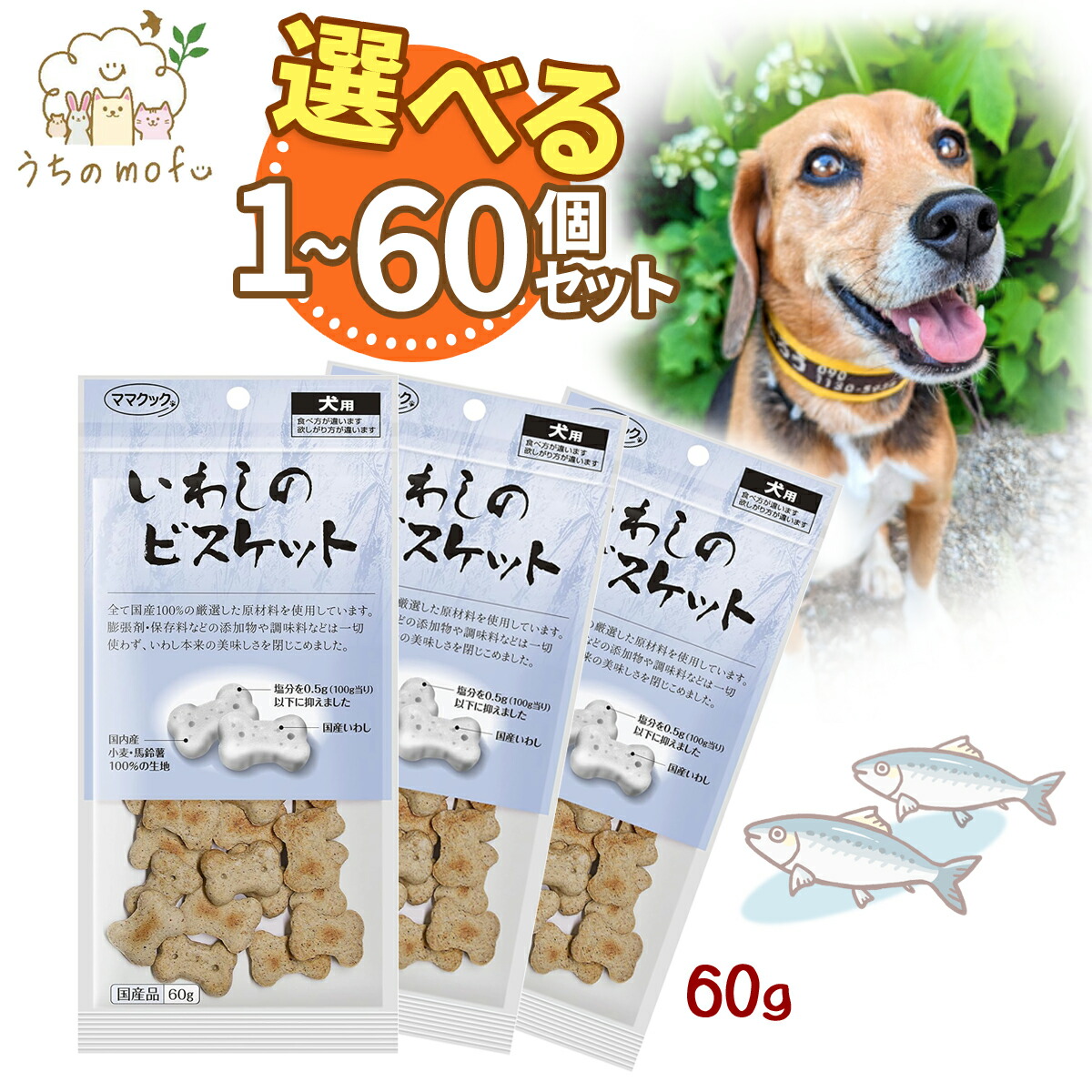 【ポイント5倍】ママクック 犬 犬用 いぬ おやつ いわしのビスケット 60g 犬のおやつ 犬おやつ 犬オヤツ 国産 無添加 ペット 愛犬 犬餌 + うちのmofuポケットティッシュ付き|ペットショップ うちのmofu