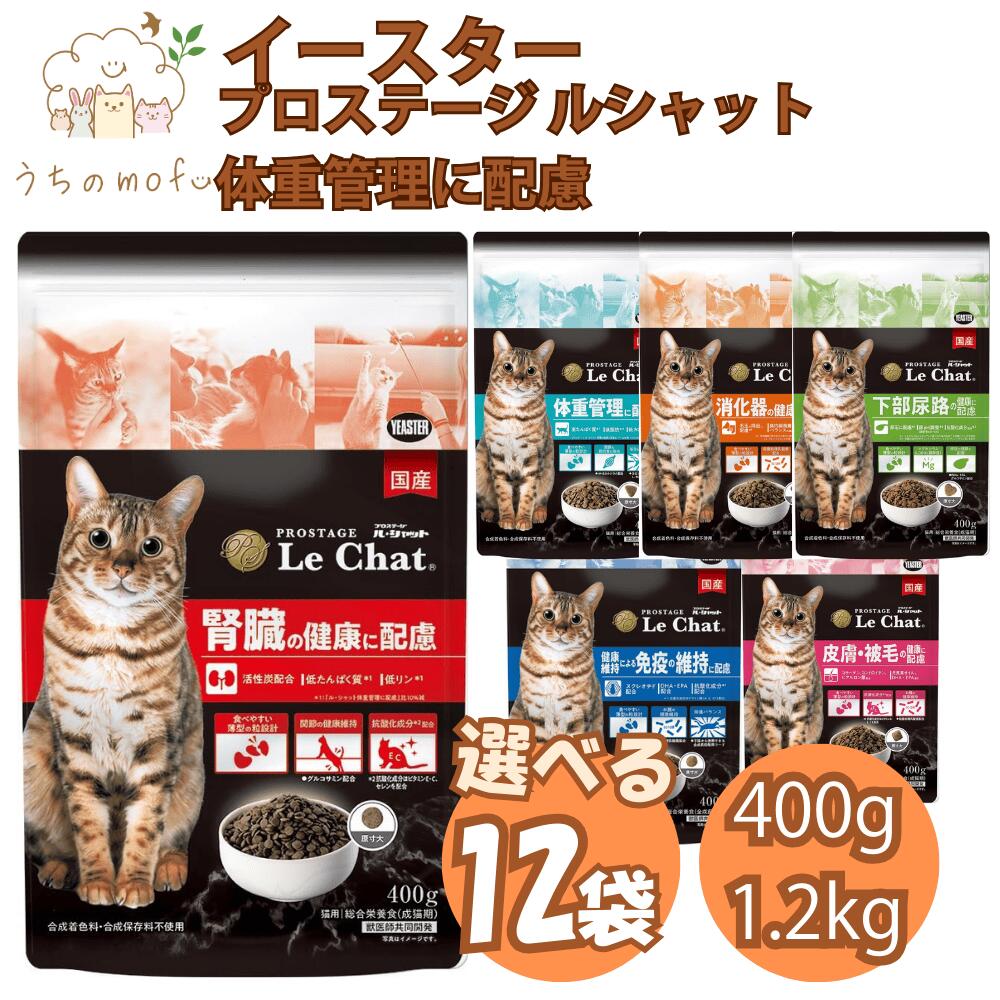 楽天市場】【max1,000円OFFクーポン】 イースター 猫 腎臓 プロ