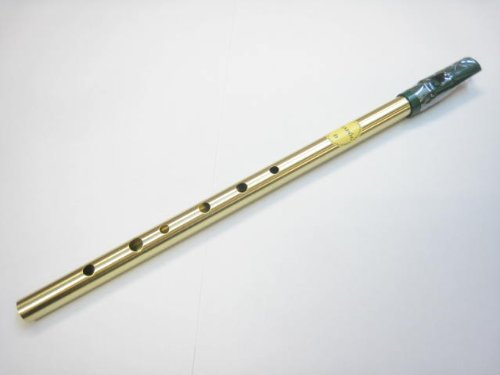 楽天市場】Feadog ティンホイッスル D管 アイルランド 楽器 笛 管楽器