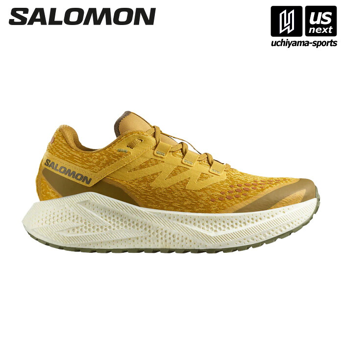 半額！SALOMONサロモン★AERO GLIDE 24センチ 楽天市場】（国内正規品） サロモン 【 SALOMON 】 メンズ グラベル