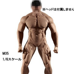 【TBLeague】PL2018-M35 male super flexible seamless body with metal skeleton TBリーグ 1/6スケール シームレス男性ボディ(ヘッドなし)素体 デッサン人形