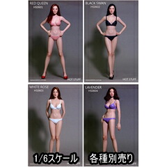 【EDATION】HOTSTUFF HS0601/HS0602/HS0603/HS0604 1:6 Female Seamless Body 1/6スケール シームレス女性ボディフィギュア デッサン人形 (ヘッド付き)