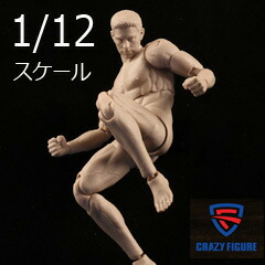 楽天市場】JIAOU DOLL 1/6 男性 アジア 細い男 体型 可動