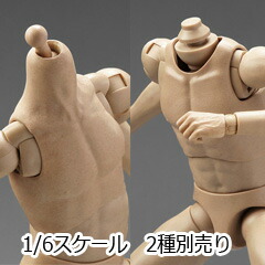 JIAOU DOLL 1/6スケール筋肉 男性素体セット JOK-17A超白肌 JIAOU DOLL 1/6スケール筋肉 男性素体セット JOK-17A超白肌 Amazon |