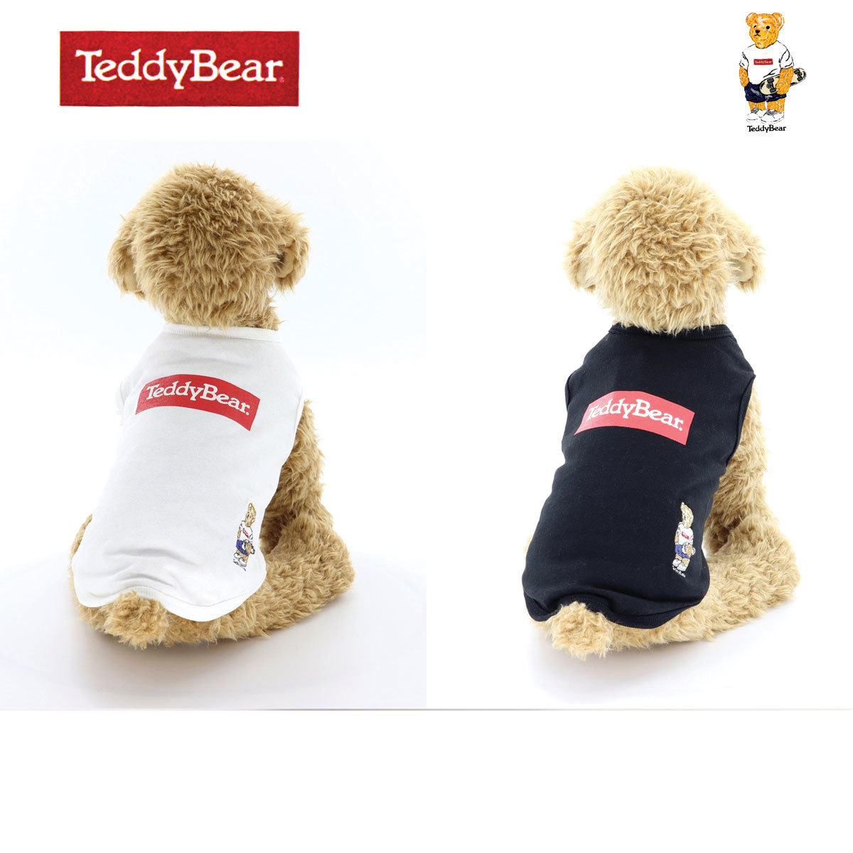 楽天市場 送料無料 動画有り Teddy Bear テディベア 犬服 Tシャツ Boxロゴ スケーター Tee ドッグウエア Tdbr 031 カレッジ アメカジ Ucla 楽天市場店