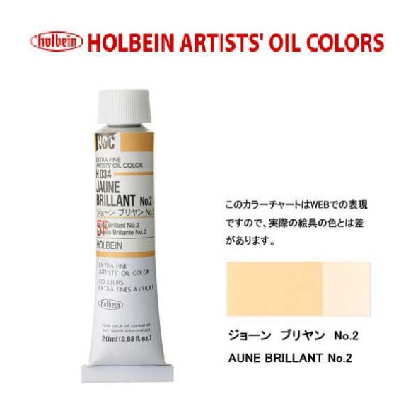 (未使用･未開封品)　ホルベイン 油絵具 POP ジョーンブリヤン B862 160ml df5ndr3 h034.jpg