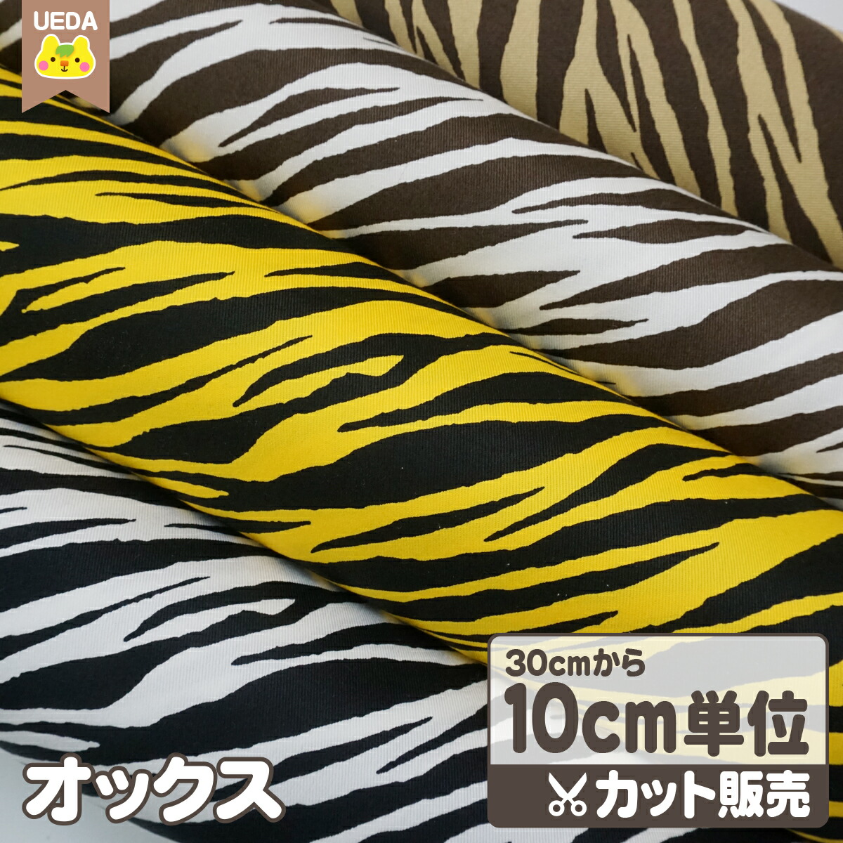 ※※らふらん出品※※ 寒蘭プラ鉢 4．0号