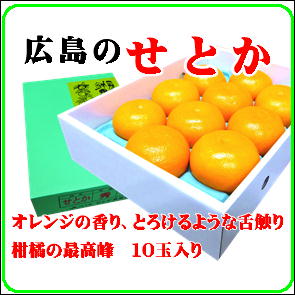 楽天市場】広島県瀬戸田 せとか特選8個入り : 広島市中央市場 上田青果