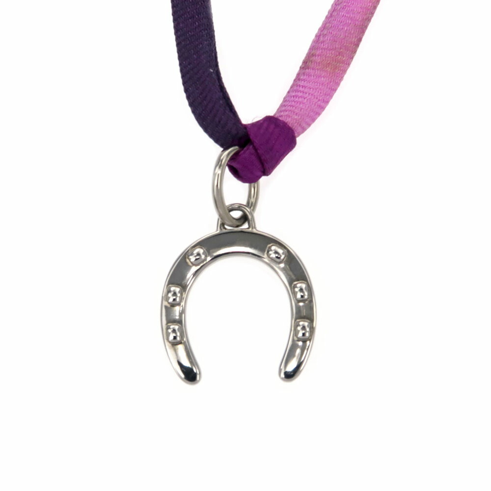 【極美品】HERMESエルメストゥールビヨンネックレス シルクチョーカー馬銜希少 極美品】HERMESエルメストゥールビヨンネックレス シルク