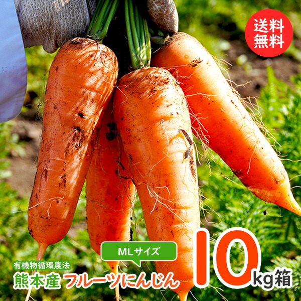 にんじん<BR> フルーツ人参10kg箱入りMLサイズ<BR>ご予約承り中