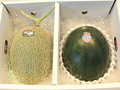 熊本メロン+小玉スイカ<br>ご予約承り中