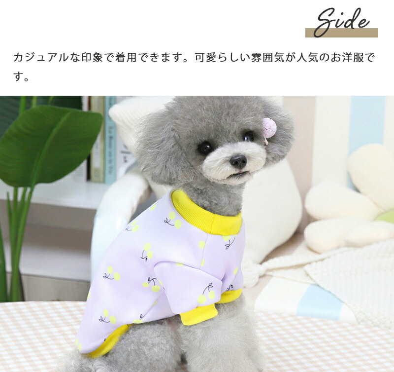 犬 服 中型犬 冬 ドッグウェア 送料無料 男の子 小型犬 トレーナー 可愛い 秋 シンプル Aw 女の子 超小型犬