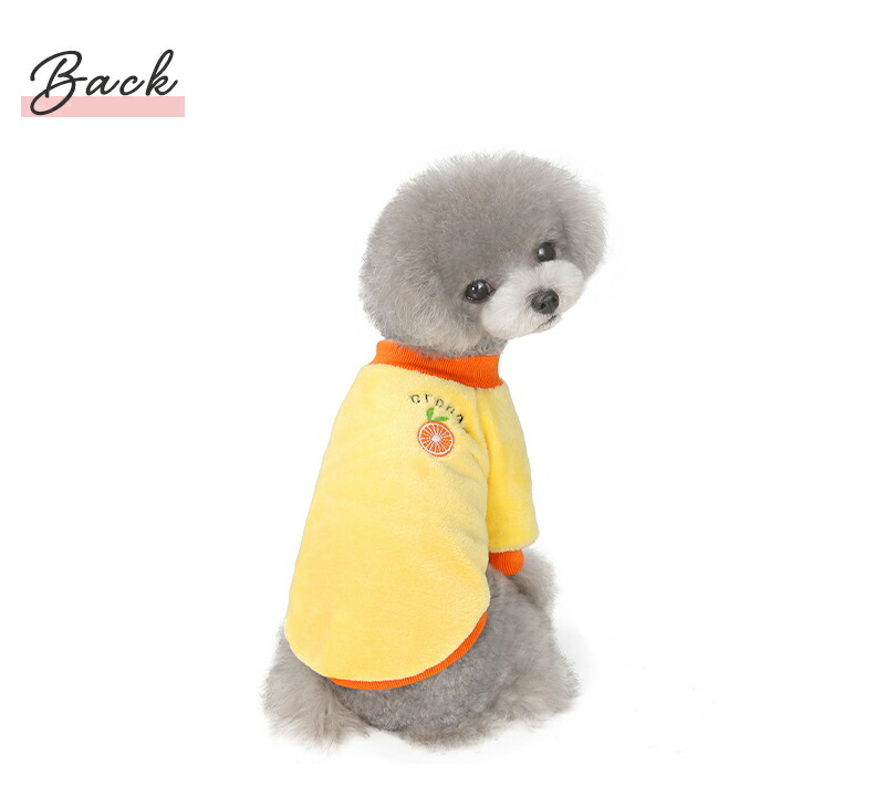 売店 犬 服 トレーナー シンプル 小型犬 男の子 Aw 超小型犬 女の子 ドッグウェア 秋 冬 可愛い 中型犬 プレゼント ギフト お出かけ かわいい 送料無料 犬用品 おしゃれ 犬の服 春服 夏服 Twinkle Whitesforracialequity Org