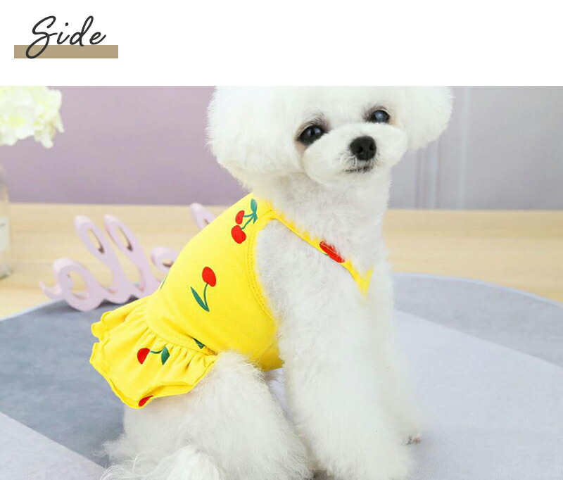 犬 服 キャミソール 超小型犬 女の子 ドッグウェア 春 Ss 夏 シンプル 中型犬 小型犬 ギフト 可愛い 犬の服