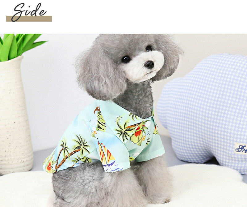 犬 服 シャツ アロハ 超小型犬 女の子 小型犬 男の子 春 夏 中型犬 可愛い ランキング第1位 ドッグウェア Ss Twinkle 夏服 ギフト おしゃれ プレゼント アロハシャツ 春服 かわいい 送料無料 P Clothes 524 犬の服 お出かけ 犬用品