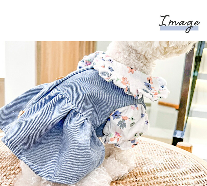 犬服 ワンピース 中型犬 春服 春 女の子 夏 小型犬 ギフト 可愛い くま 超小型犬 お出かけ 夏服 ドッグウェア Ss