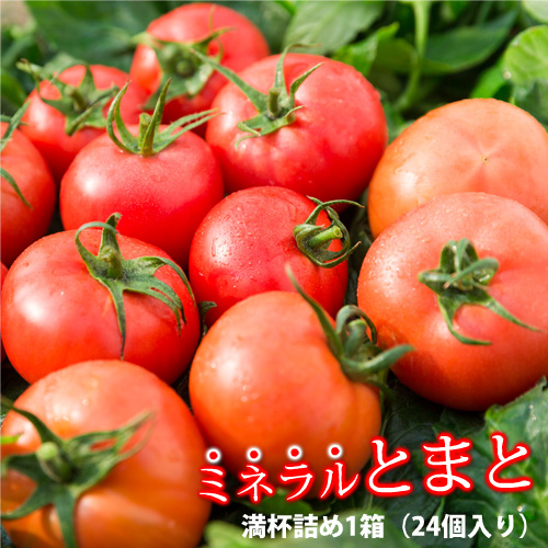 楽天市場】[ドライミニトマト40g]国産 乾物/乾燥野菜 ドライトマト